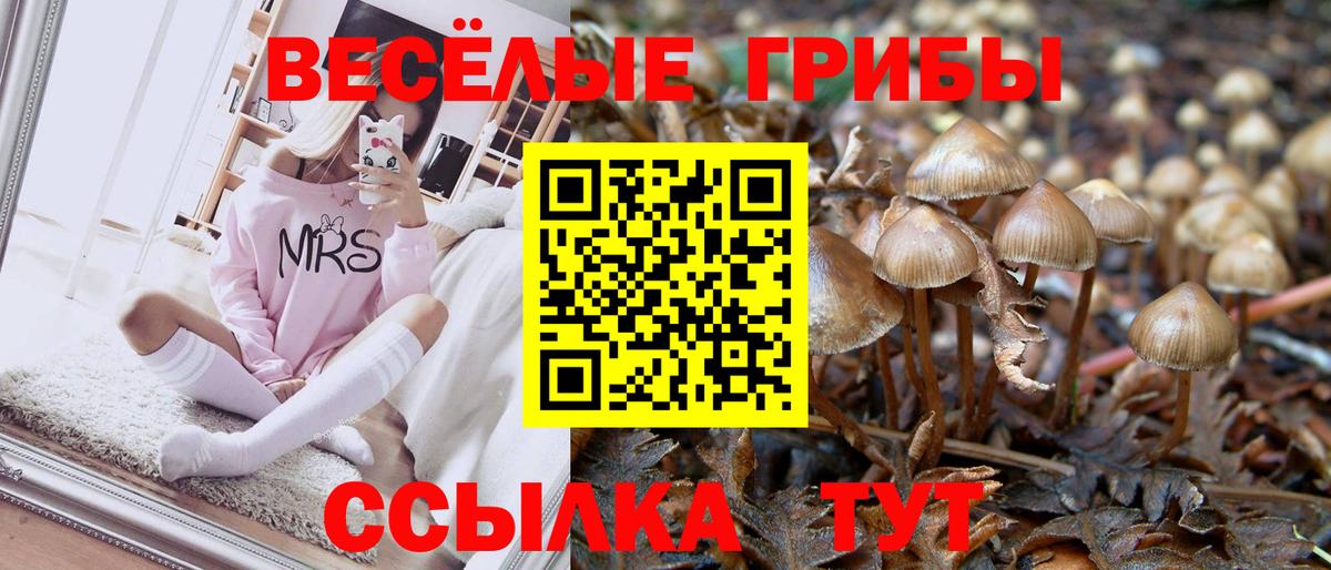 наркотики  Вход с VPN  Галлюциногенные грибы Psilocybe  Губкин  Псилоцибиновые грибы Cubensis 